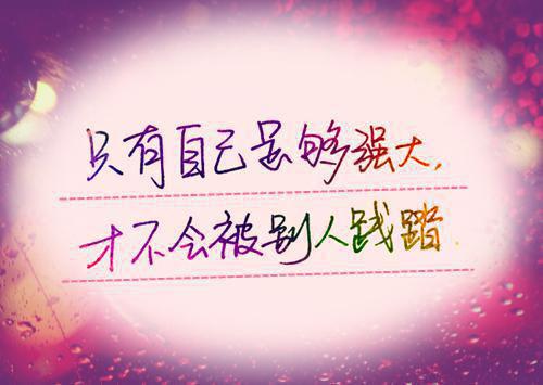 杨晨苏雅最新章节_杨晨苏雅全文免费阅读