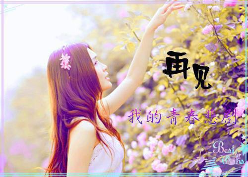 夏稚的小说不见白昼免费阅读夏稚池昼完结版阅读