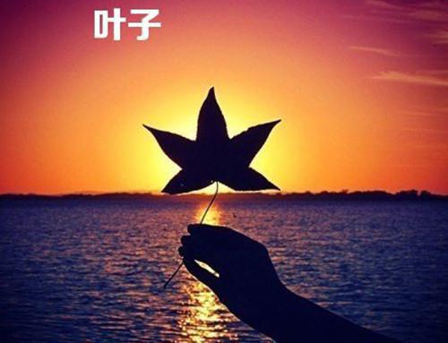 秦依然贺霆渊(又闻情深不知处)全文免费秦依然贺霆渊读无弹窗大结局_(秦依然贺霆渊免费秦依然贺霆渊读全文大结局)最新章节列表（秦依然贺霆渊）