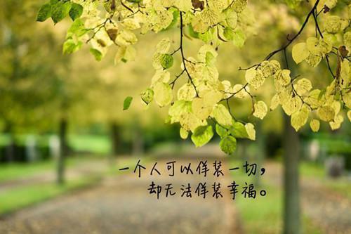 诱妻入怀放肆爱最新章节_诱妻入怀放肆爱全文免费阅读