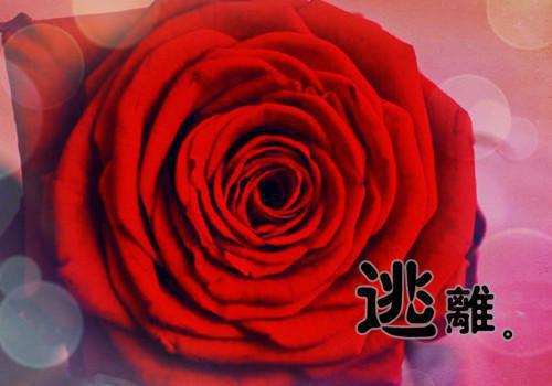 全本小说陶仁姝方景文by陶仁姝方景文免费阅读
