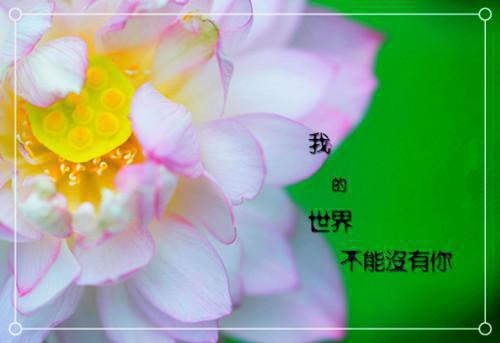 都市小说作精小网红小说第5章免费阅读
