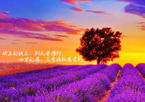 桑晚楼野最新章节_桑晚楼野全文免费阅读