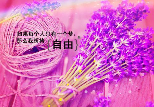 结束倒追(于瑶盛扬)全文免费阅读无弹窗大结局_ 于瑶盛扬瑜免费阅读最新章节列表（结束倒追）