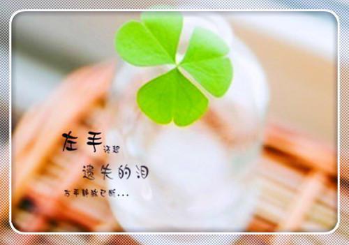 动物寓言故事500字