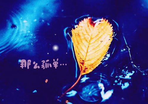娇宠惹祸萌妻最新章节_娇宠惹祸萌妻全文免费阅读
