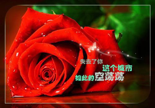 她说怀了我绝嗣哥哥的种后最新章节_她说怀了我绝嗣哥哥的种后全文免费阅读