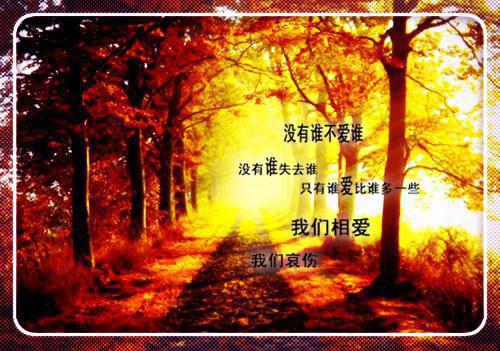 付博业王璐璐小说免费阅读最新 绝望孕妇的反击完整版