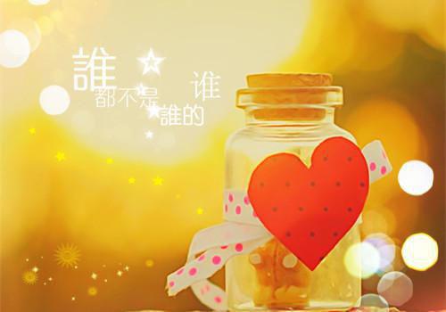 洛青青乔靖宇最新章节_洛青青乔靖宇全文免费阅读