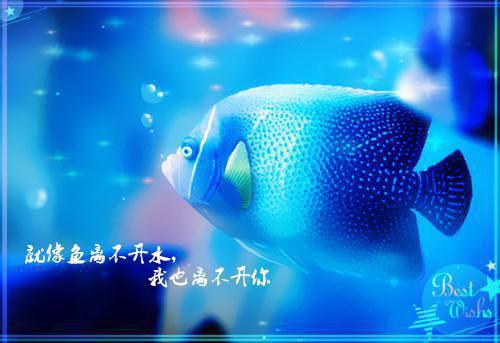 床前明月光免费阅读全文小说全章节目录免费阅读
