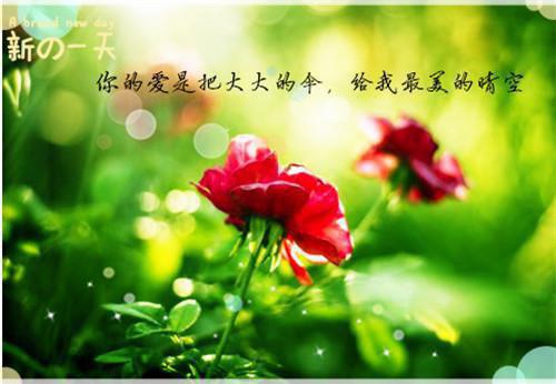 书名是不死期许的小说（顾乘司念）免费阅读_顾乘司念小说免费阅读（不死期许）