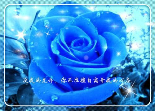 精选儿童教育书籍
