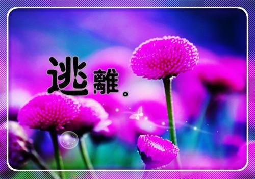 小学生励志文章