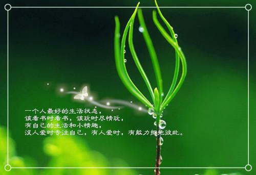 撩骗失忆反派后，我转身抛夫弃子结局+番外（沈清梨）最新章节_撩骗失忆反派后，我转身抛夫弃子结局+番外全文阅读
