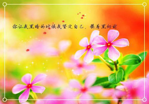 建筑工作简历范文