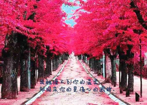 (抖音小说)姜鑫傅州免费阅读第3章