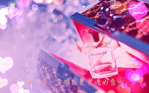 与你相见在来生：结局+番外全文免费阅读无弹窗大结局_（秦念山秦遥知）与你相见在来生：结局+番外最新章节列表（秦念山秦遥知）