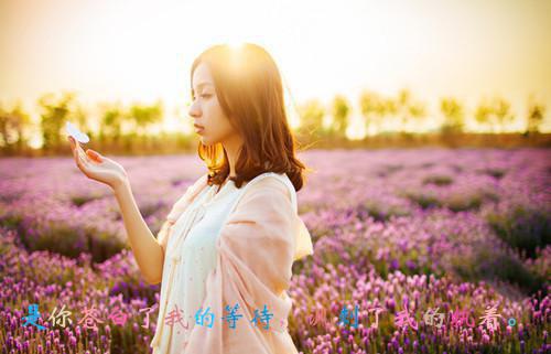 甜糖花猪小说全文阅读小说免费阅读
