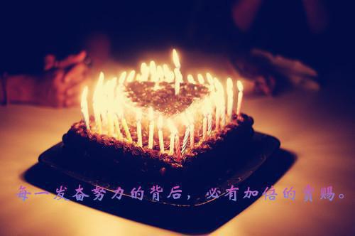 (番外)+(全文)今天开始心动吧：结局+番外（苏清瑜陆辞澜）免费阅读无弹窗_今天开始心动吧：结局+番外阅读最新章节列表