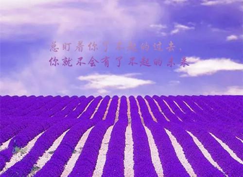 物业管理经理个人简历模板