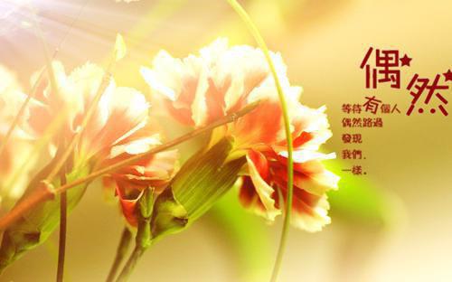 儿童必读的经典书籍有哪些
