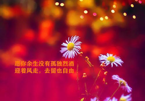 动物的寓言故事