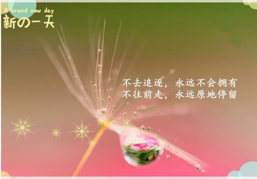 高中励志宣誓誓词