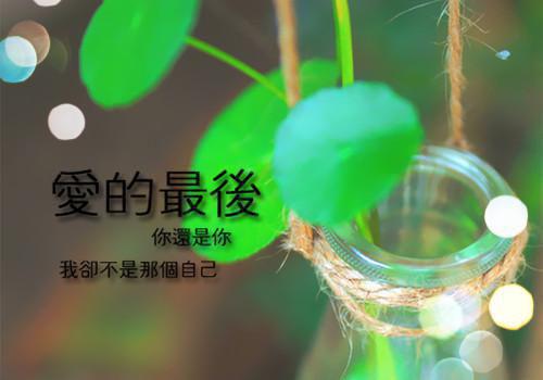 积极向上的文章500字