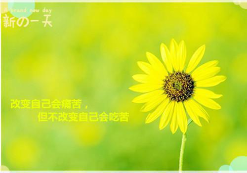 名人成功的故事经典集
