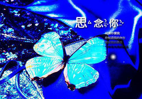 师范个人求职简历范文模板