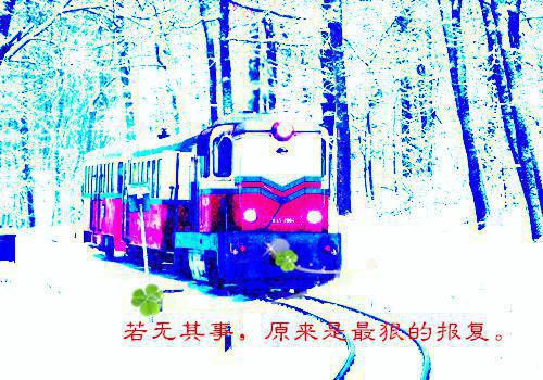 姜琦霍予琛（姜琦霍予琛）在哪免费看-小说(姜琦霍予琛)全文完整版免费阅读