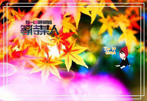 兵王在上最新章节_兵王在上全文免费阅读