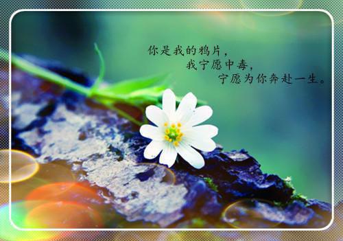 经济寓言故事