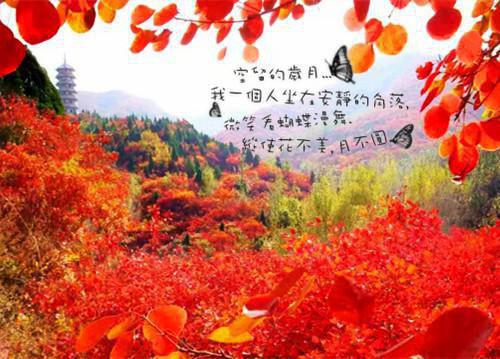 郭文静乔芝俞沐泽免费阅读目录 郭文静乔芝俞沐泽小说全文