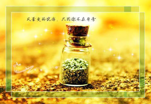 励志好看的文笔好的小说推荐