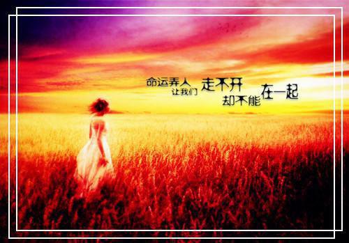 暖心儿童童话故事200字