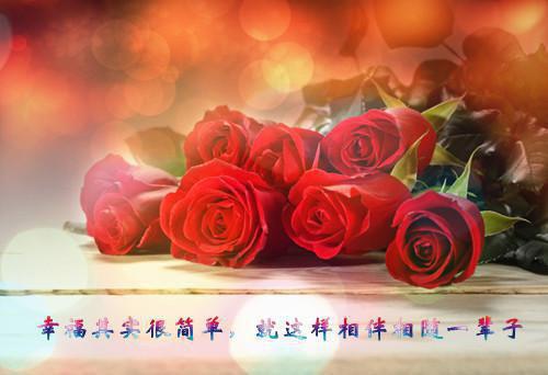 关于成功的记叙文优秀范文