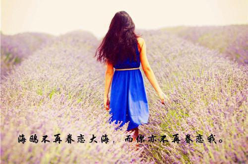 那一抹阳光又名春若景明不相逢：结局+番外免费阅读无弹窗大结局_（那一抹阳光又名春若景明不相逢：结局+番外）那一抹阳光又名春若景明不相逢：结局+番外最新章节列表（付明嫣顾景程）