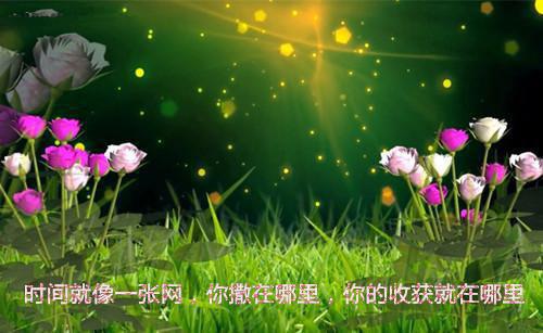 特洛伊的故事 希腊人