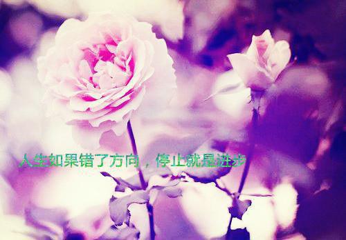 高考励志标语短