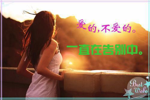 苏琬儿李肇辰小说（苏琬儿李肇辰）全文免费阅读无弹窗大结局_苏琬儿李肇辰最新章节列表（苏琬儿李肇辰）