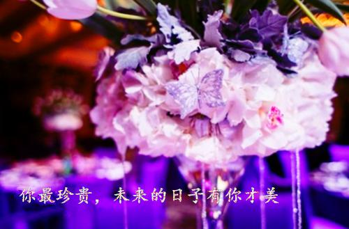 魏容恒杨浅婼（全集小说完整版大结局《魏容恒杨浅婼》）全文阅读