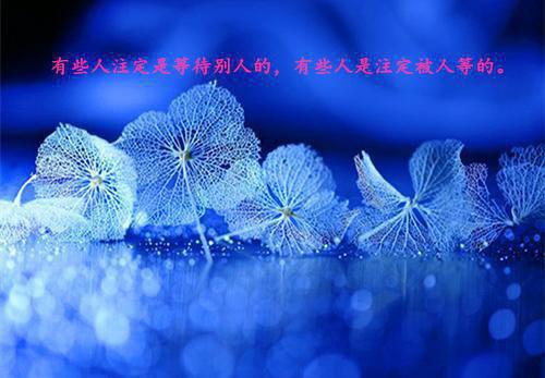 最新章节与你再见不说三次在线（姜妩）_与你再见不说三次在线姜妩最新章节