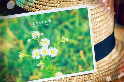 2023应聘简历空白表格