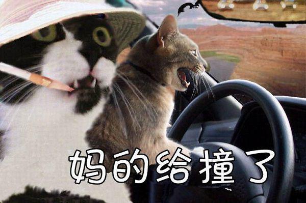 我为儿孙当北漂励志音乐主题曲毛泽少每次回头都看到你在微