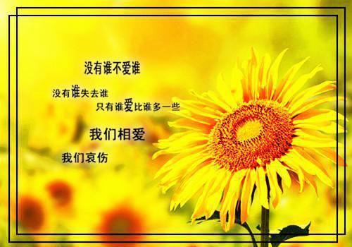 傅驰焰与沈宛曦全文阅读无弹窗大结局_（沈宛曦傅驰焰阅读无弹窗）最新章节列表（沈宛曦傅驰焰）