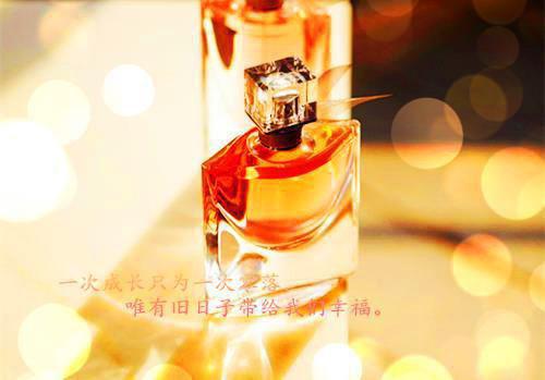 小说沈星洛傅斯辰小说by傅斯辰大结局免费阅读