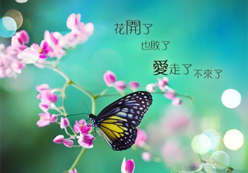 高中生必读的经典书籍有哪些