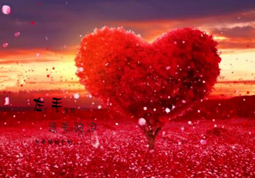 言情全文小说绝世医妃：倾城太子妃称霸后宫完结版精彩阅读