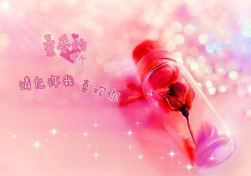 说说人生感悟句子集锦
